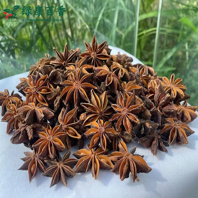 Autumn Star Anise bulk product photograph