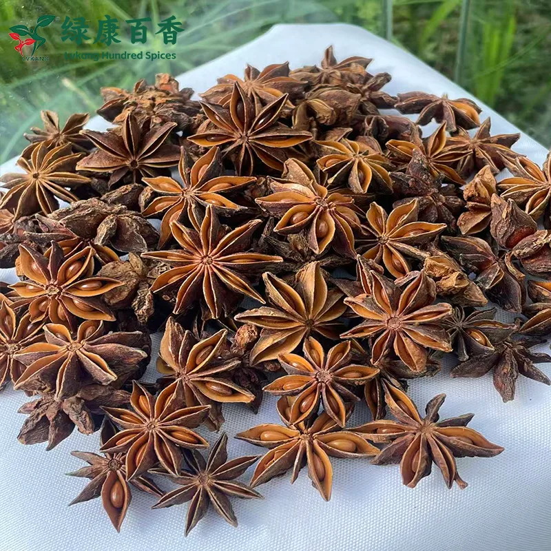 Bulk Autumn Star Anise whole dried fruit