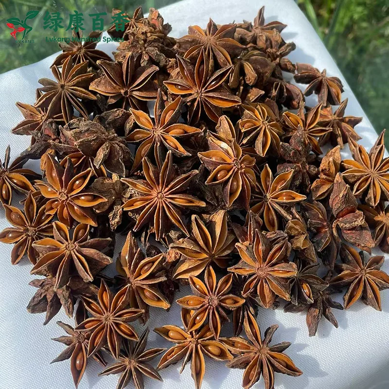 Autumn Star Anise from Fangchenggang Guangxi