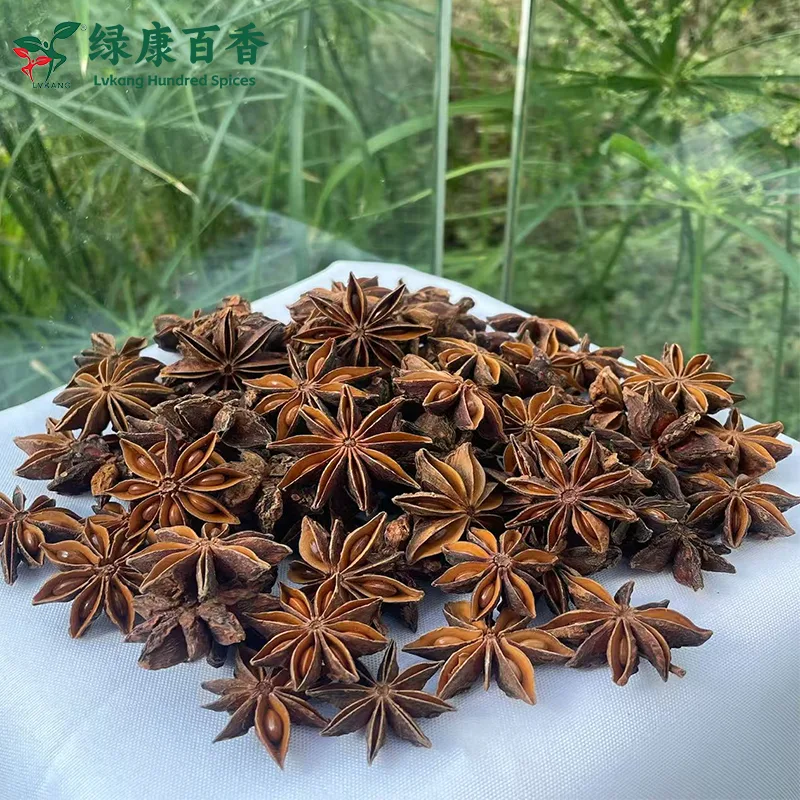Bulk organic Autumn Star Anise from Fangchenggang, Guangxi