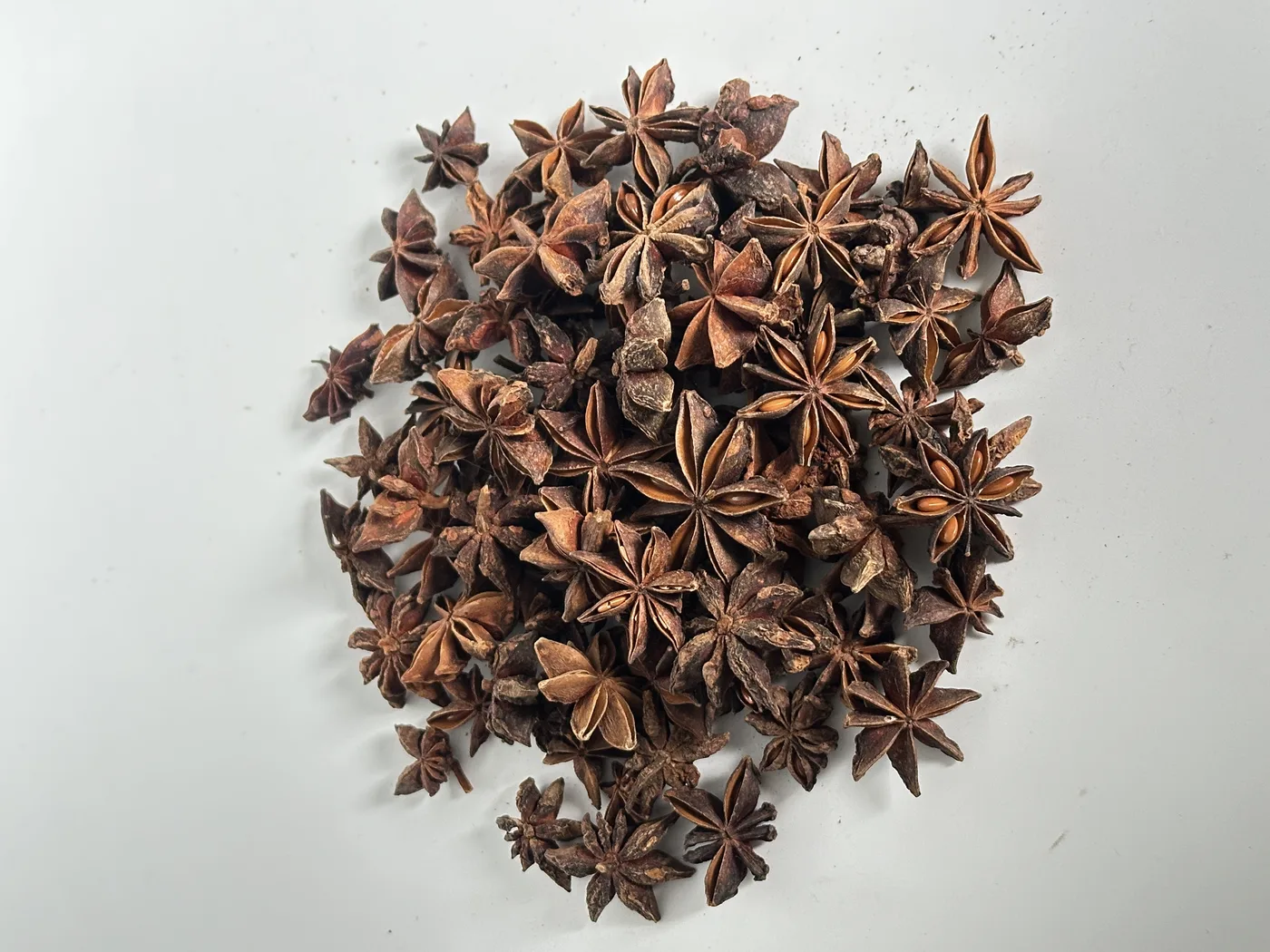 Spring Star Anise Whole supplier lot view 4